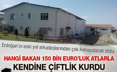 Hangi bakan 150 Bin Euro'luk atlarla kendine çiftlik kurdu Hangi-10