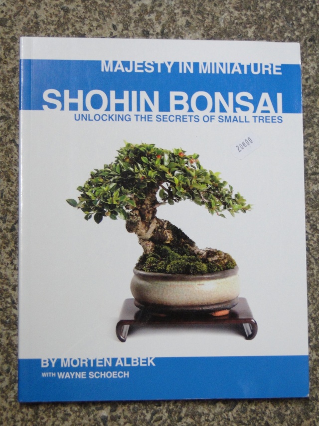 les mini bonsaï  Dsc06810