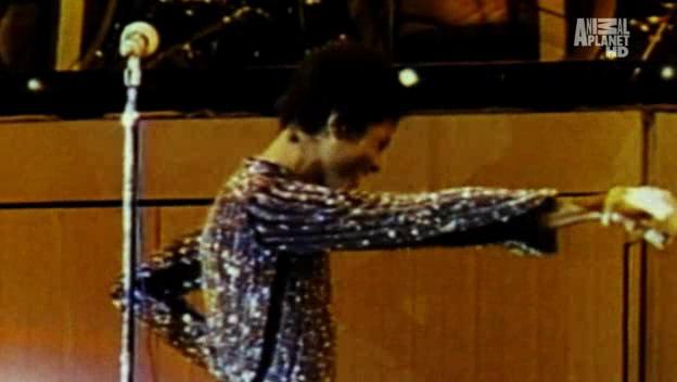 [DL]Michael Jackson and Bubbles The Untold Story HD AVI Bubble37