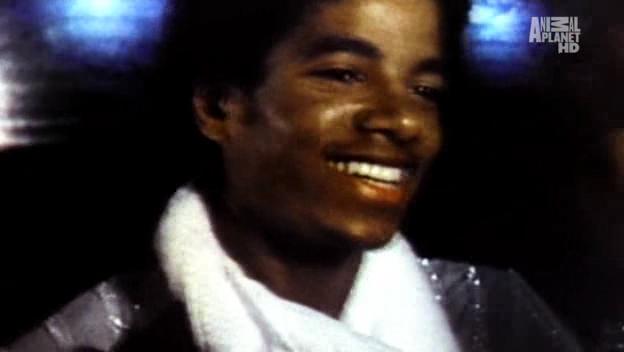 [DL]Michael Jackson and Bubbles The Untold Story HD AVI Bubble39