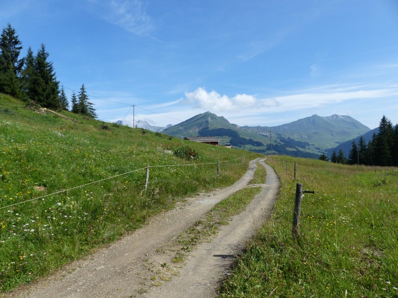 La Clusaz: les confins-tête du Danay P1010321