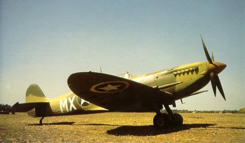 Spitfire Mk IX c  52nd Fighter Group Tunisie 1943 Spitfi11