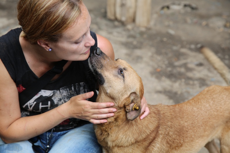 Tzupy, chien de notre quartier, mâle très sociable, né en 2009. Hx9a1511