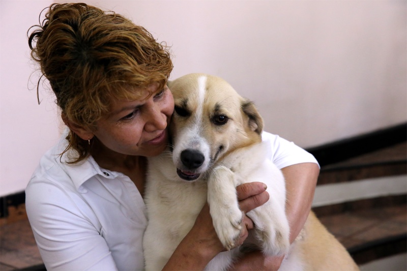 Murmurica, sauvetage de Sanda, chienne née en 2011 Murmur11