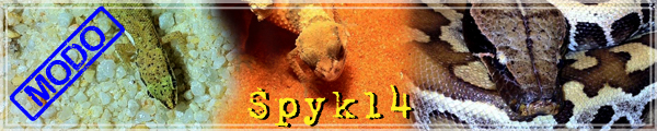 Mon gecko à crête et moi :) Signat10