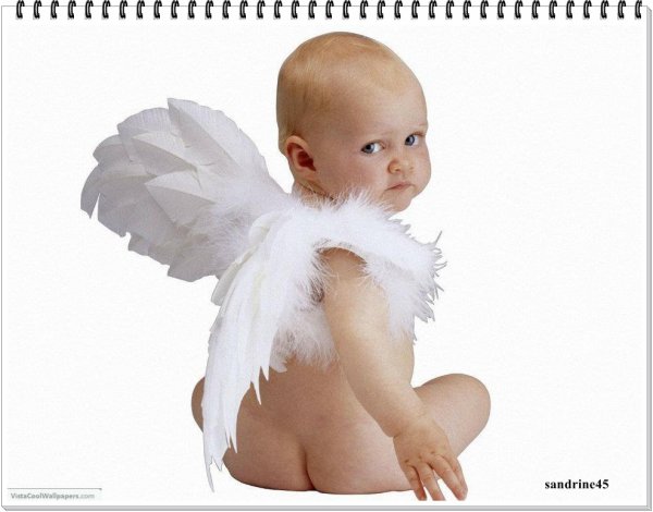 montage photo bébé ange pour faire part mariage 31056410