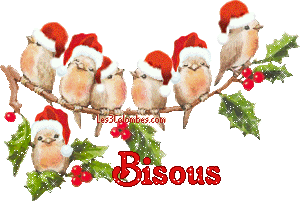 Comment poster vos photos (suivi des photos mises en ligne au 7/01/15) 31-110