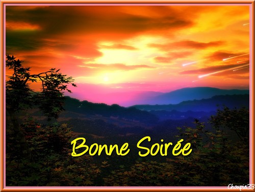 Bonjour bonsoir,...blabla Aout 2013 3062c610