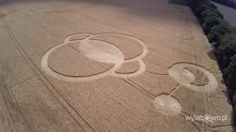 crop circles 2014 - Page 7 1693ca10