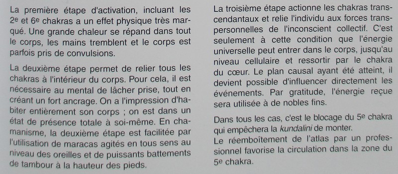 Le Souffle Frais de la Kundalini : Tout de suite et maintenant si vous le voulez ... 310