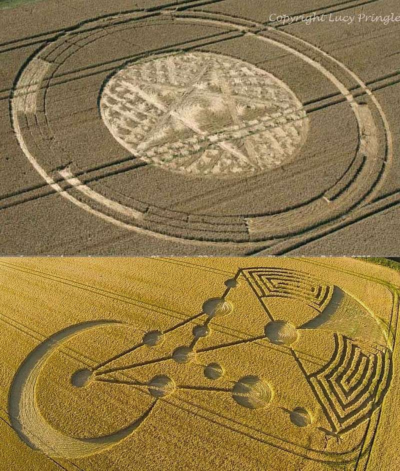 crop circles 2014 - Page 9 333310