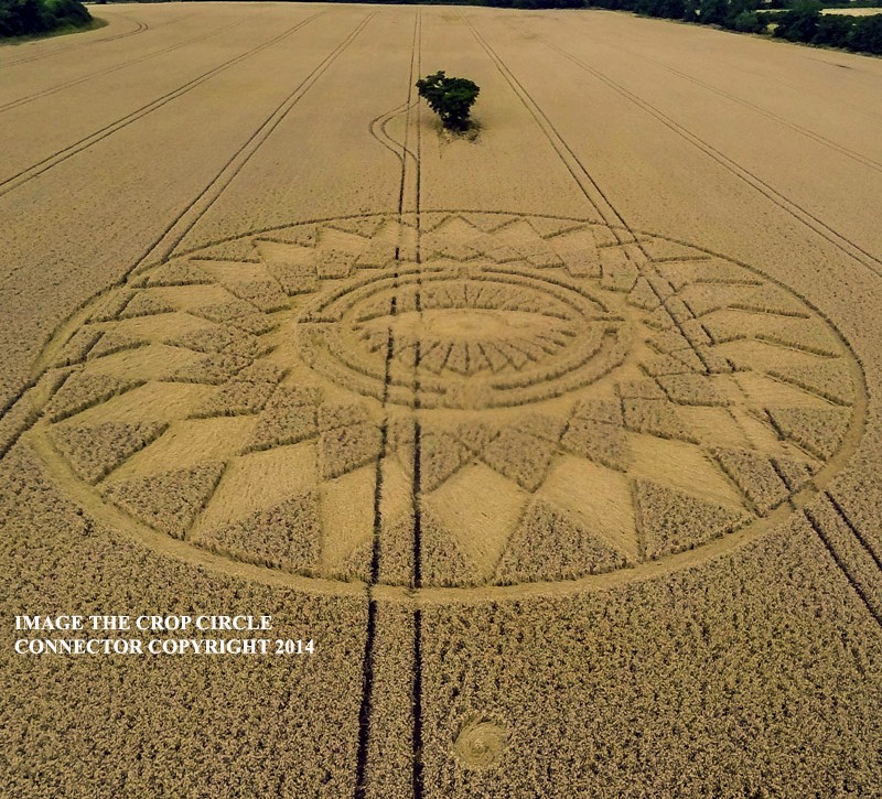 crop circles 2014 - Page 6 Pr10