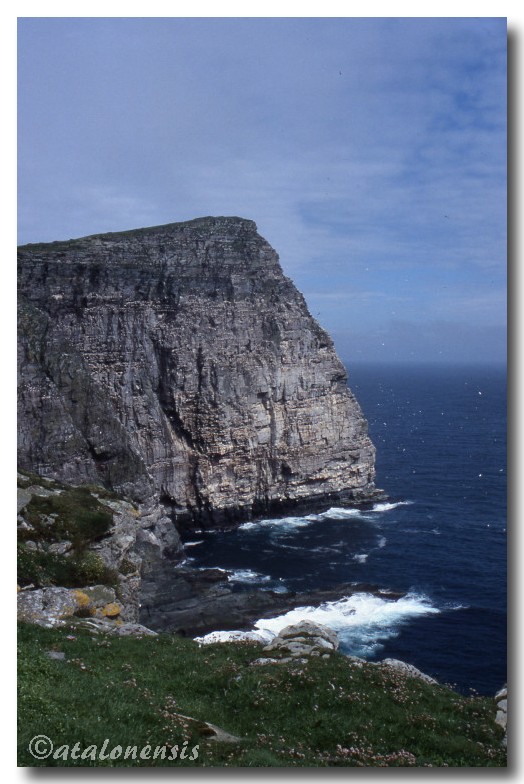 Retour sur les îles Shetland (juillet 2001) P_sche13