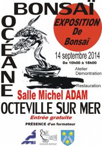 OCTIVILLE sur mer (76) expo bonsai Post-210
