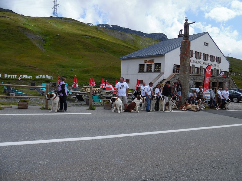 3 et 4 aout : Rassemblement st bernard à la rosiere - Page 2 Sam_0624