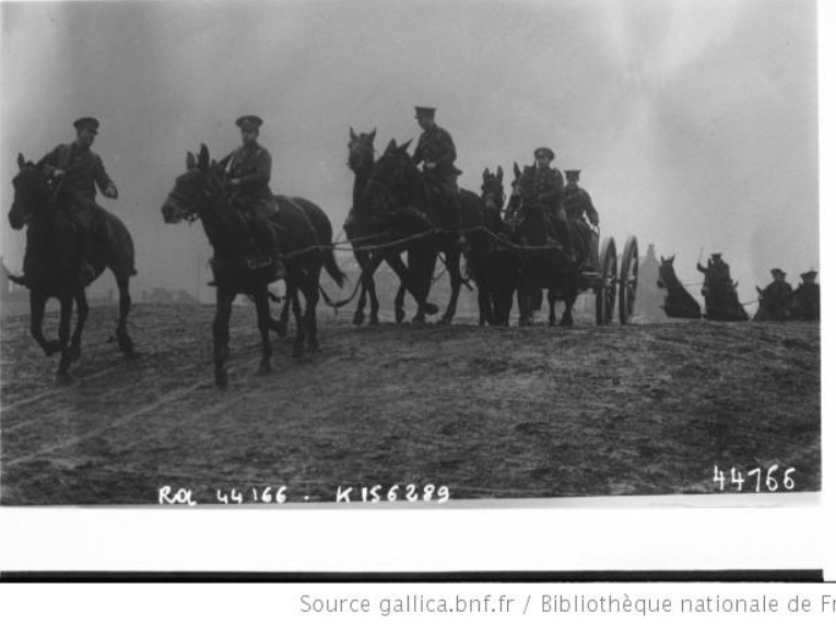 Les animaux dans la grande guerre. A5510