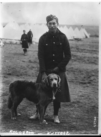 Les animaux dans la grande guerre. A7310