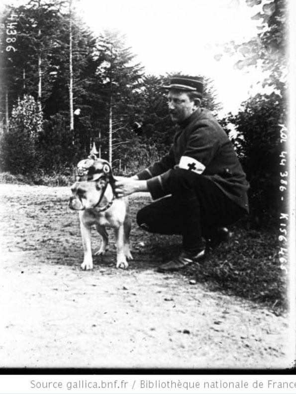 Les animaux dans la grande guerre. A7610