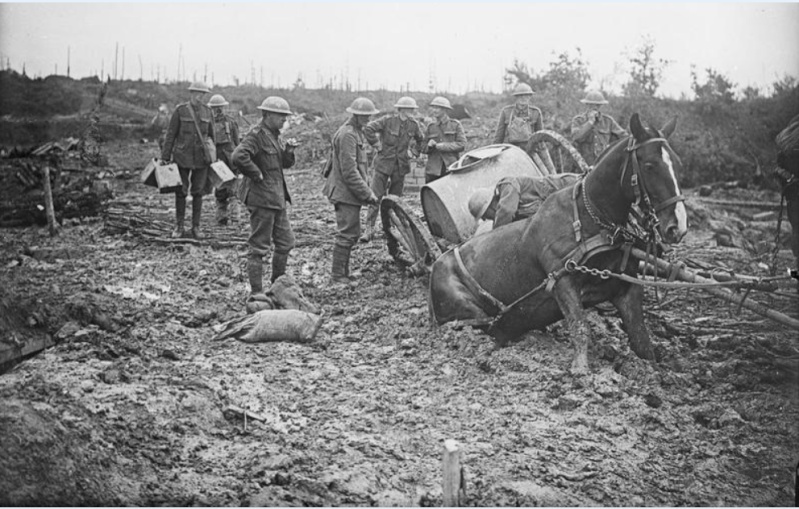 Les animaux dans la grande guerre. A9210