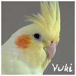 Pension oiseaux Ava-yu10
