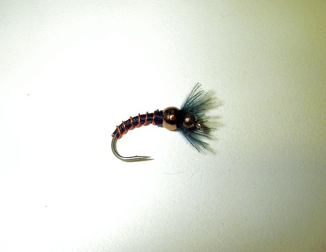 Photo de mouche sans ombre Omb110