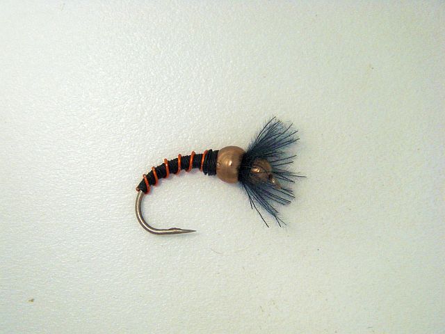Photo de mouche sans ombre Omb410