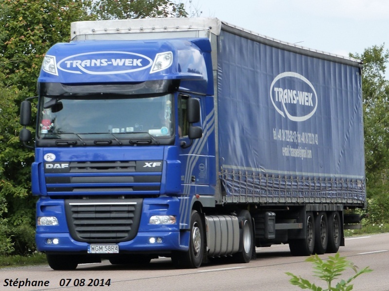 Trans - Wek (Topola Szlachecka) P1260424