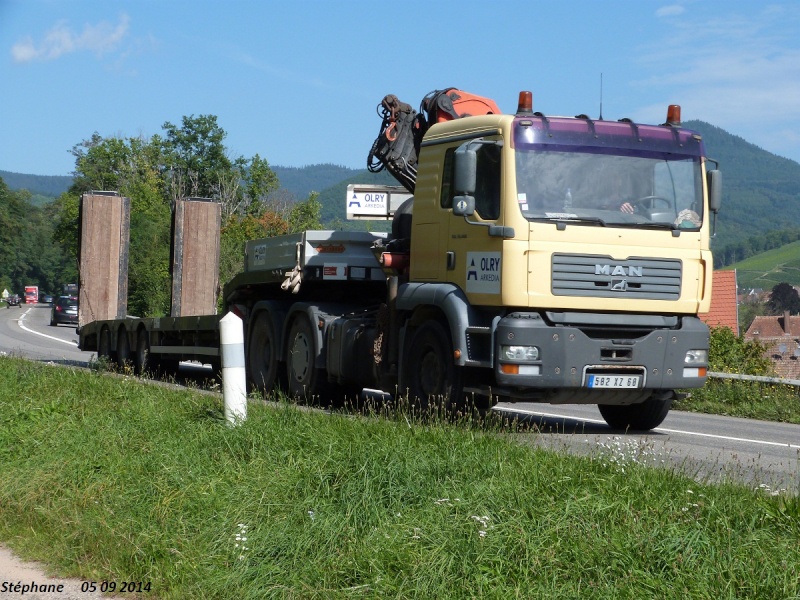 Olry (groupe Arkedia) (Turckheim) (68) P1270227