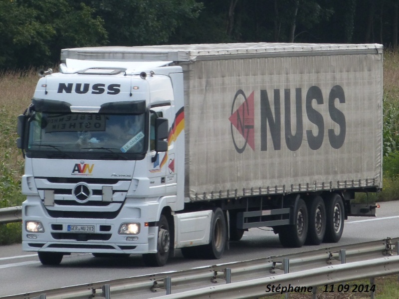 Nuss (Worth am Rhein) P1270863