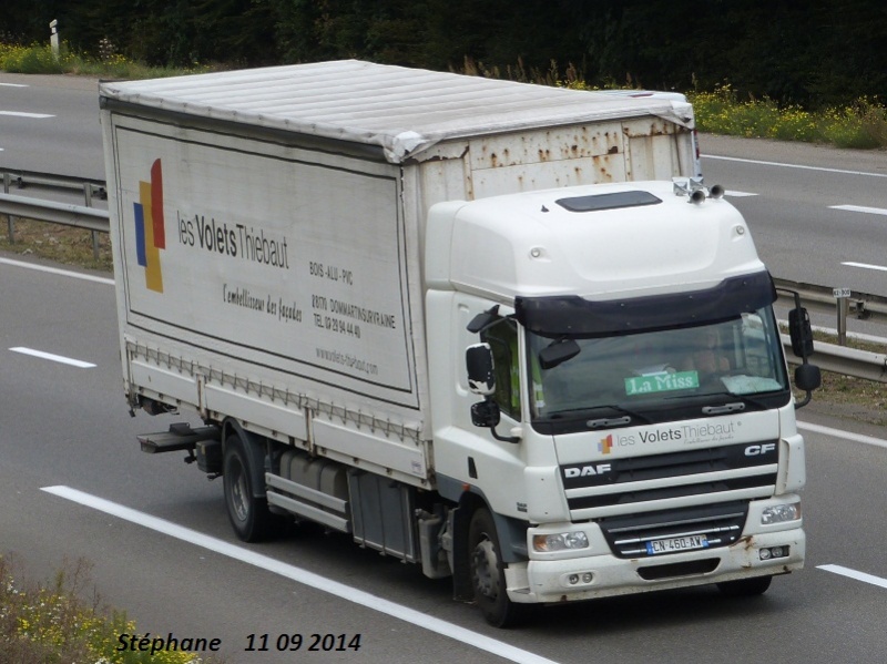 Heilmann (Darnieulles) (88) (groupement Evolutrans) P1270924