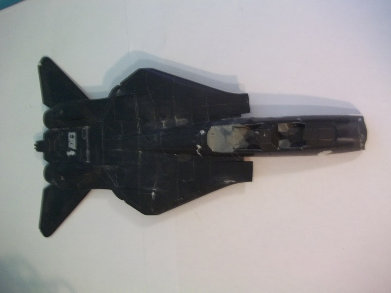 Rénovation F-14A Black Tomcat - Revell 1/48 101_1360