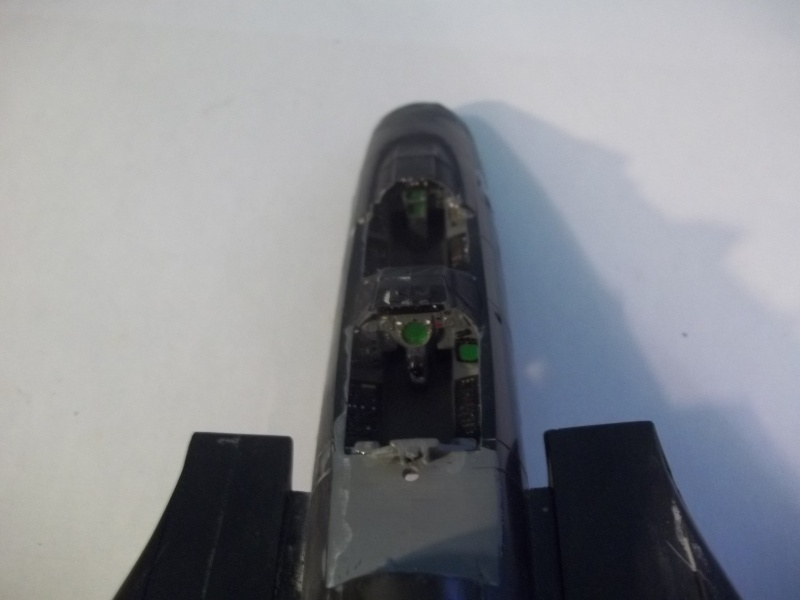 Rénovation F-14A Black Tomcat - Revell 1/48 101_1361