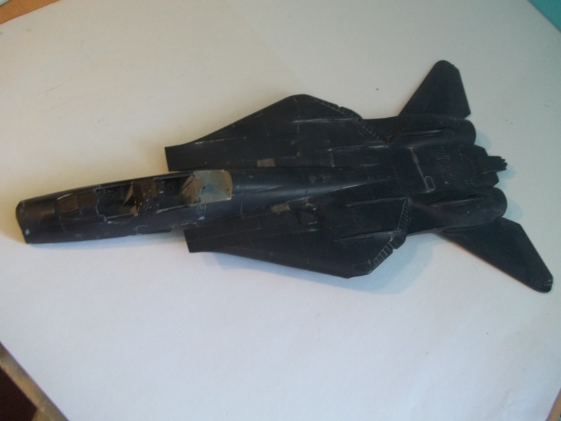 Rénovation F-14A Black Tomcat - Revell 1/48 101_1435