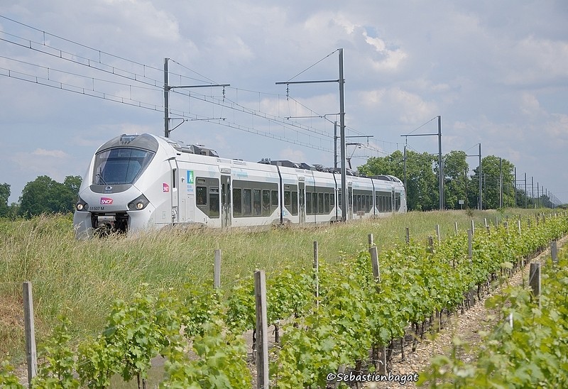 Photos et vidéos de la ligne Bordeaux - Toulouse - Narbonne - Sète (Fil 3) - Page 18 _dsc7616