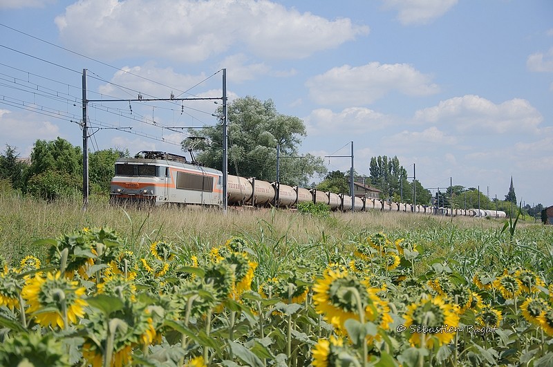 Photos et vidéos de la ligne Bordeaux - Toulouse - Narbonne - Sète (Fil 3) - Page 23 _dsc8011