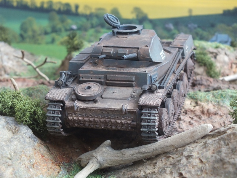 Panzer II Ausf. F unité inconnue, en France , quelque part en Bretagne , printemps 1943. Dscf4721