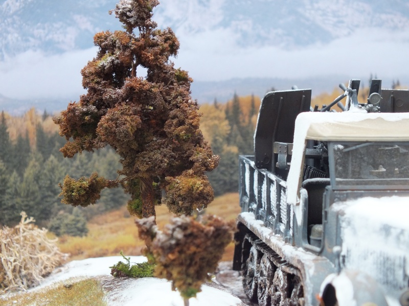 Sdkfz 7/1 , 24 th Panzer Division,abandonné,front de l'est , fin d'automne 1942. (NON FINI)( Tamiya  1/35 German 8ton Semitrack w/20mm Flakvierling Sd.Kfz. 7/1 réf:35050) Dscf5332