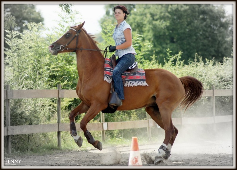 Journée western au village équestre des Moutats 19_jui47