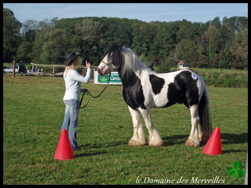 Qualification Loisir de Lapalisse 2014 28_sep25