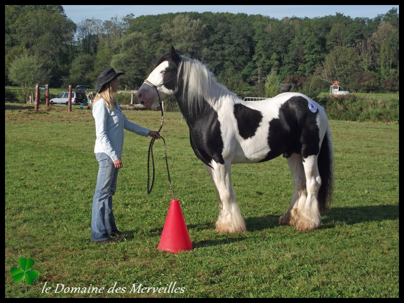 Qualification Loisir de Lapalisse 2014 avec Léo 28_sep29