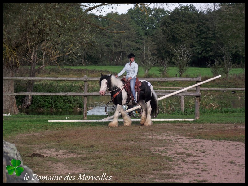 Qualification Loisir à Lapalisse 2014+ nouvelles photos Indy 28_sep40