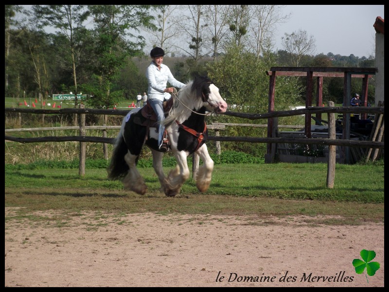 Qualification Loisir à Lapalisse 2014+ nouvelles photos Indy 28_sep50