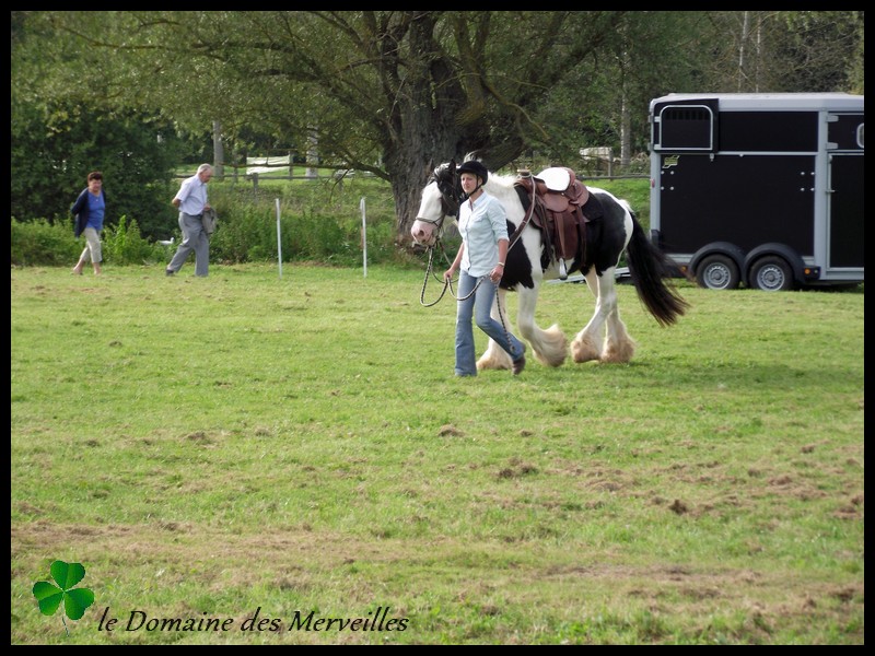 Qualification Loisir à Lapalisse 2014+ nouvelles photos Indy 28_sep55