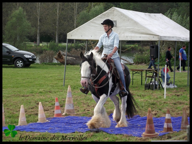 Qualification Loisir de Lapalisse 2014 avec Léo 28_sep70