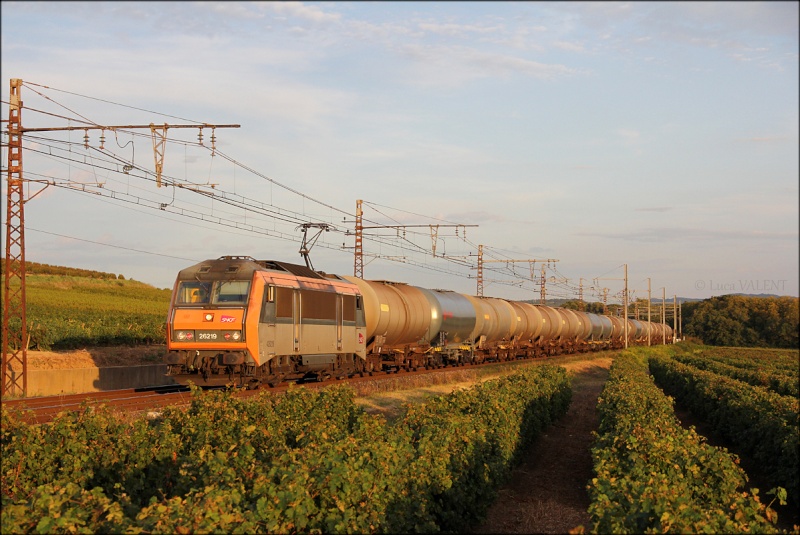 Photos et vidéos de la ligne Bordeaux - Toulouse - Narbonne - Sète (Fil 3) - Page 28 Img_9211