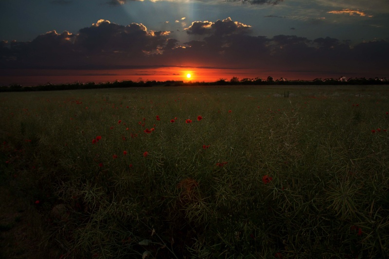 Couché de soleil 10062010