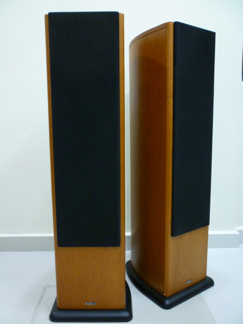 AE Aelite Series 3  Floorstand Speaker (sold P1120613