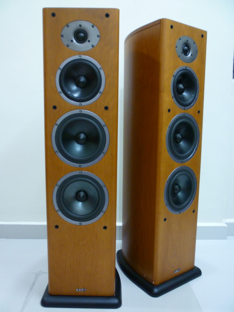 AE Aelite Series 3  Floorstand Speaker (sold P1120716