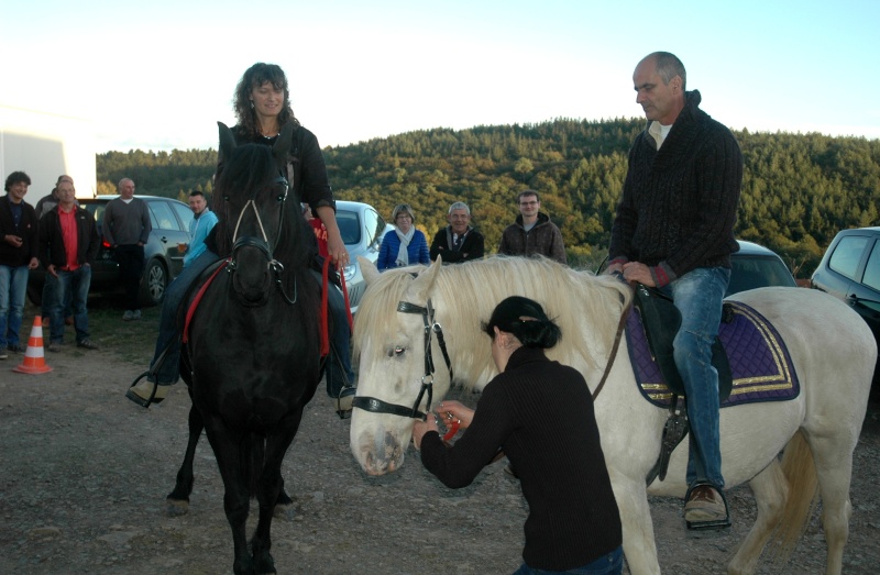 Mes loulous en mode repos  (Shooting photo ) - Page 32 14100414