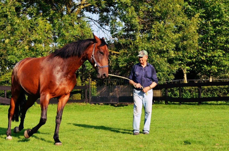 mr simon et son cheval Dsc_0052